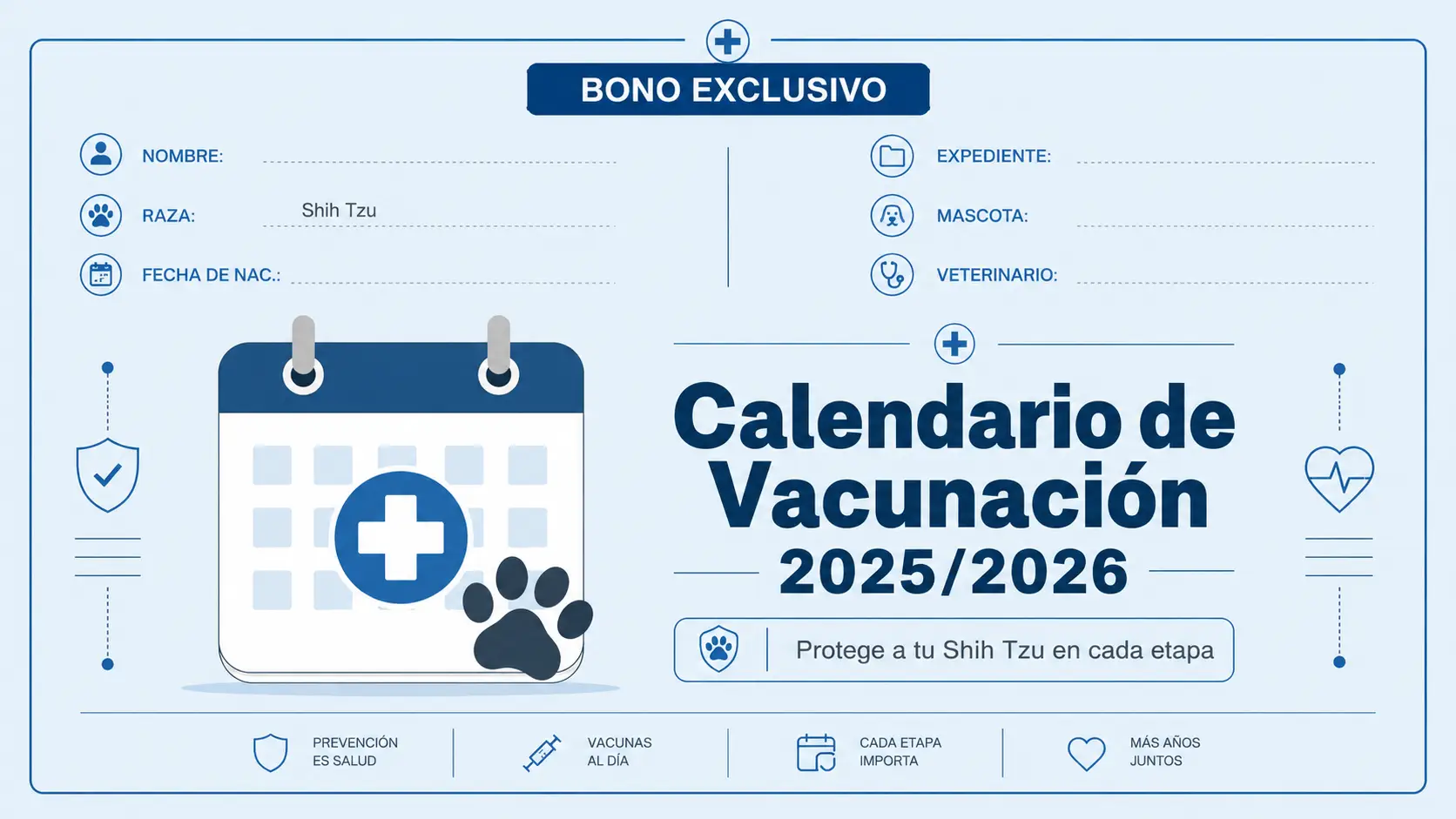 Calendario de Vacunación 2025/2026 para proteger a tu Shih Tzu en cada etapa